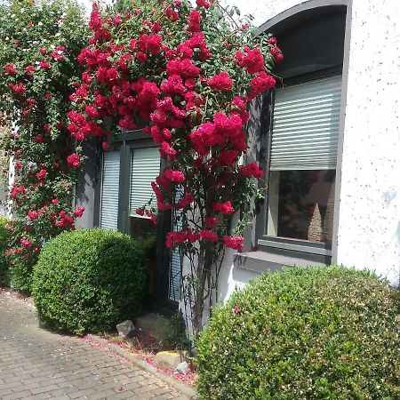 Altstadt-Apartment เพเทอร์สฮาเกน ภายนอก รูปภาพ