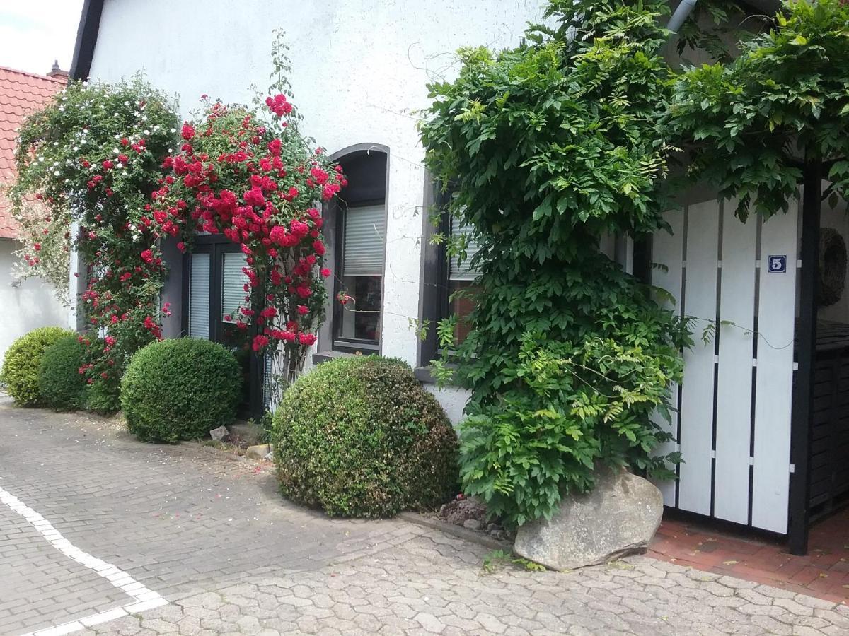 Altstadt-Apartment เพเทอร์สฮาเกน ภายนอก รูปภาพ